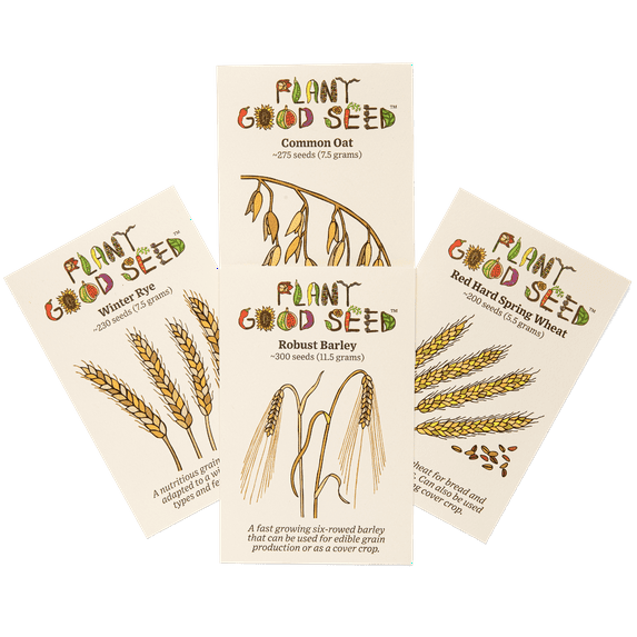 Plant Good Seed Organic Great Grains Seed Collection with four packets of oat, wheat, barley, and rye heritage grasses