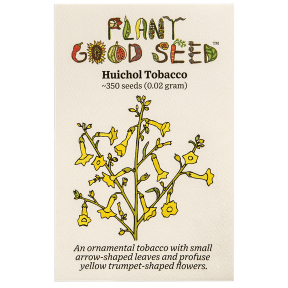 Plant Good Seed Huichol / Langsdorff's Tobacco Seed: Prolific Yellow Annual Flowers, Night Blooming