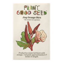 Plant Good Seed Jing Orange Okra Seeds, Asian Heirloom Okra Abelmoschus Esculentus Seeds, 40 Per Envelope (2.5g)