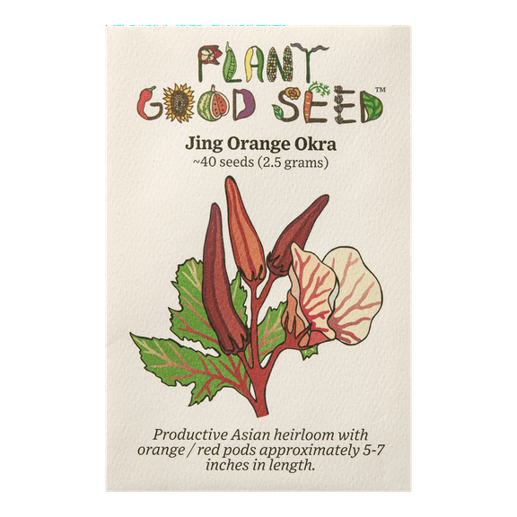 Plant Good Seed Jing Orange Okra Seeds, Asian Heirloom Okra Abelmoschus Esculentus Seeds, 40 Per Envelope (2.5g)