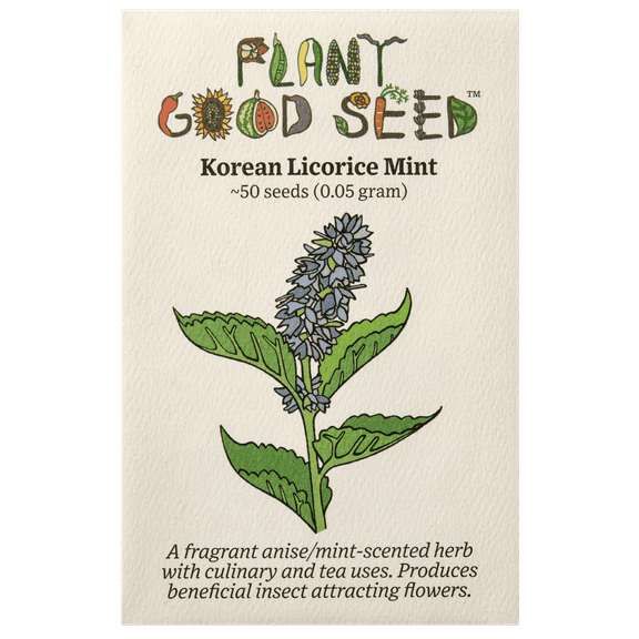 Plant Good Seed Korean Licorice Mint Seeds for Planting Hardy Part Sun Perennial Herb 50 seed packet