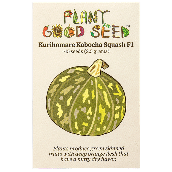 Plant Good Seed Kurihomare Kabocha Squash F1 Seeds, Cucurbita Maxima Dark Green Skinned Fruit Seeds, 15 per Envelope (2.5g)