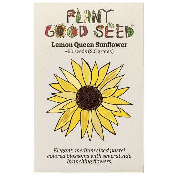Plant Good Seed Organic Lemon Queen Sunflower Seeds for Planting: 50 Seed Packet, Heirloom, Full Sun Annual