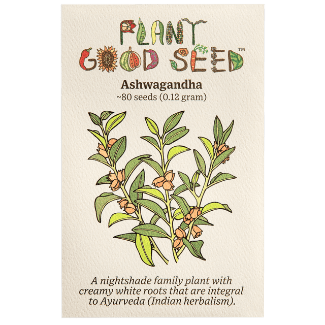 Plant Good Seed Certified Organic Ashwagandha Seeds, Full Sun, Withania ...