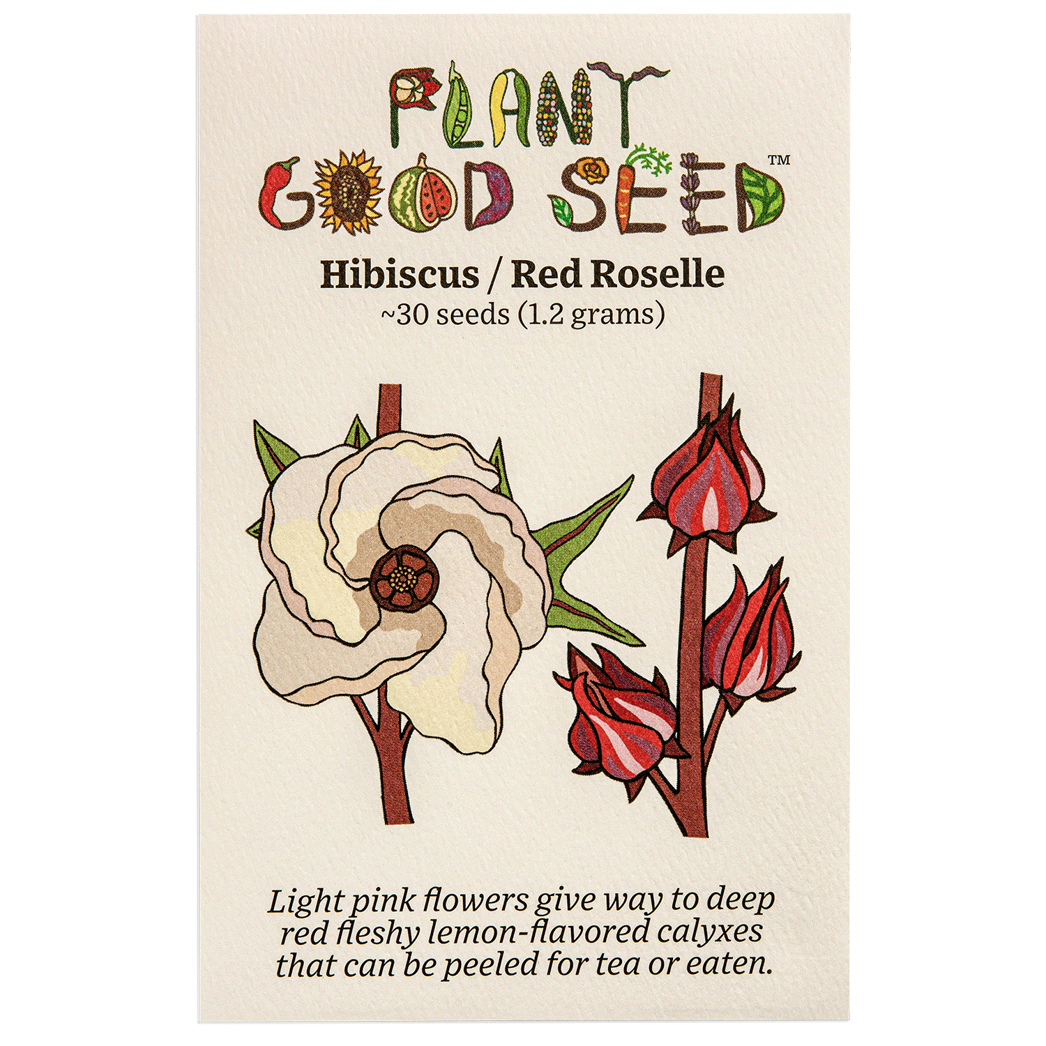 Plant Good Seed Red Roselle Flower Seeds SunLoving Organic Planting