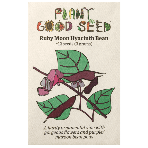 Plant Good Seed Organic Ruby Moon Hyacinth Bean Seed for Planting: Purple Pods, Flower Vine - 12 Seed Packet