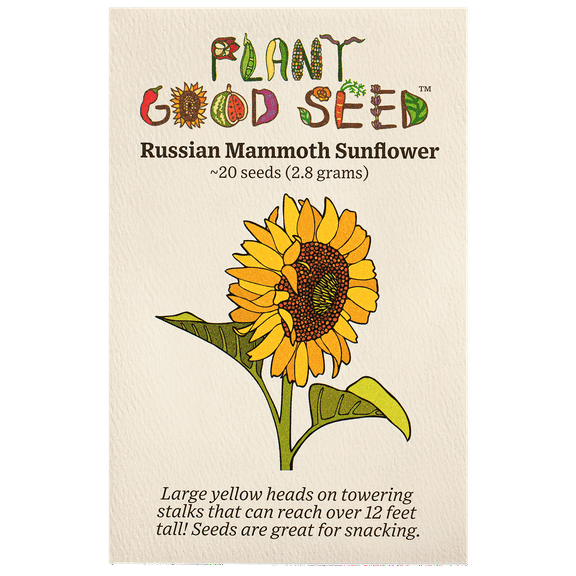 Plant Good Seed Russian Mammoth Sunflower Seeds, Heirloom Sunflower Helianthus Annuus Seeds