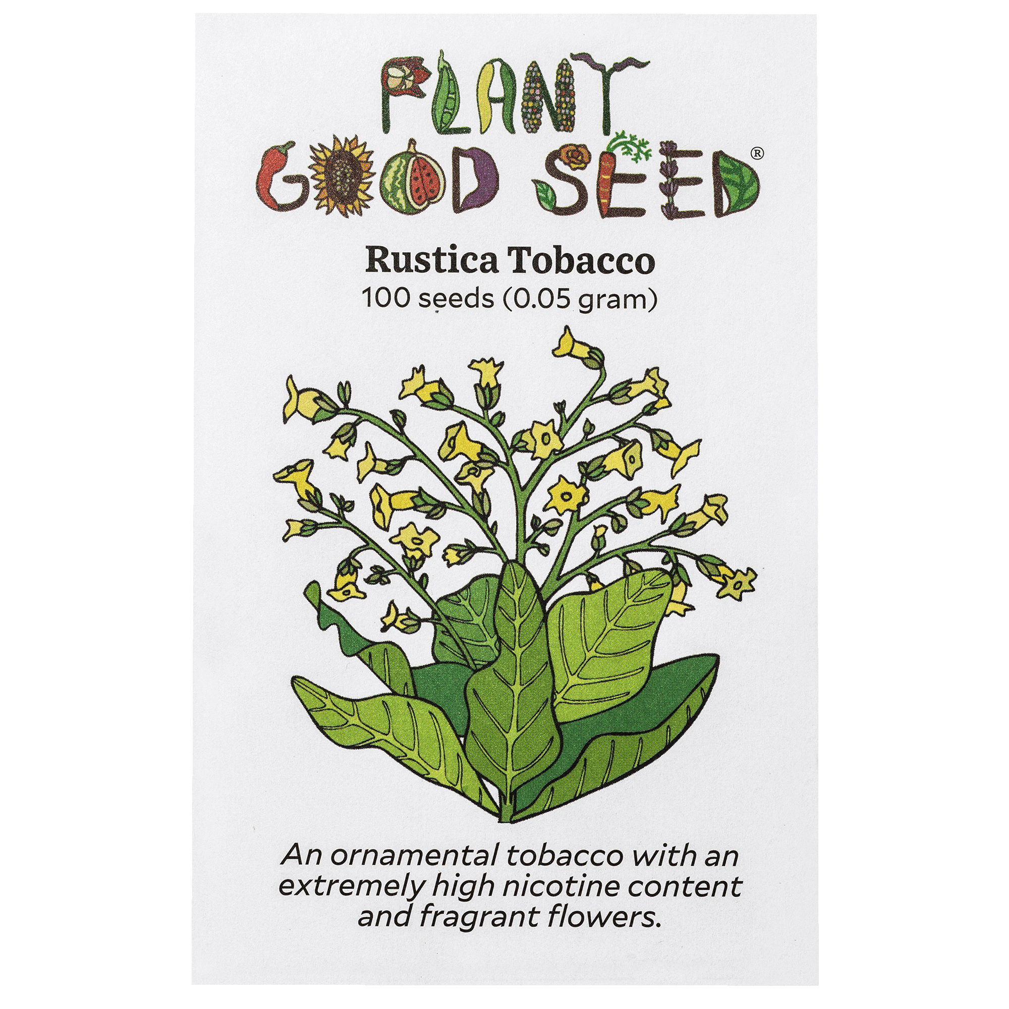 plant tobacco seeds Plant Good Seed Rustica Tobacco Seeds for Planting: Full Sun Perennial,  Pest Control, 100 seed packet