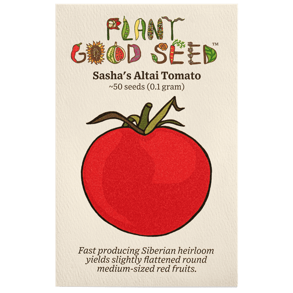 Plant Good Seed Organic Sasha's Altai Tomato Seeds for Planting - Siberian Heirloom, 50 Seed Packet