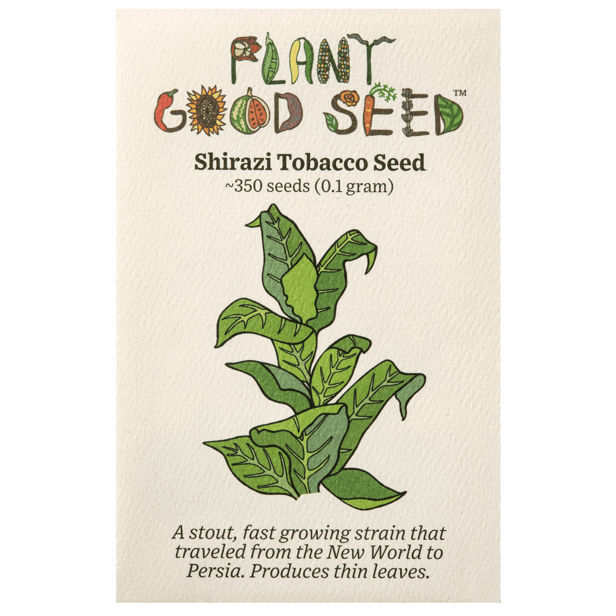 organic tobacco seeds Plant Good Seed Shirazi Tobacco Seed: Fast Growing Green Leaf for Curing  Organic Full Sun Perennial