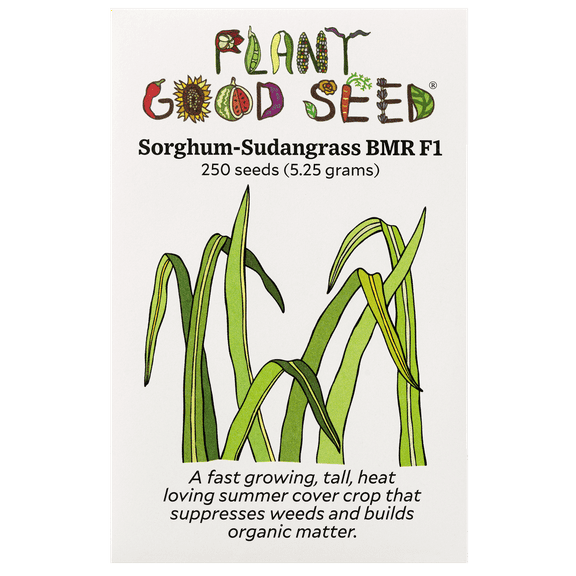 Plant Good Seed Sorghum Sudangrass Seeds BMR F1 Hybrid Vigorous Organic Cover Crop Weed Suppressing