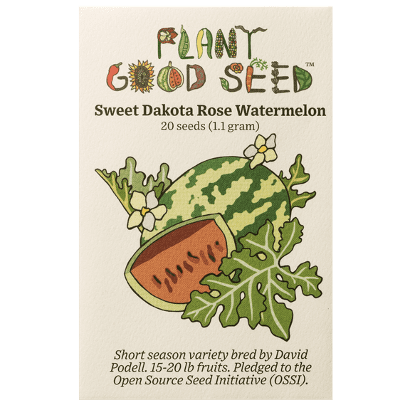 Plant Good Seed Sweet Dakota Rose Watermelon Seeds: Full Sun Heirloom Annual, Fast Growing Organic