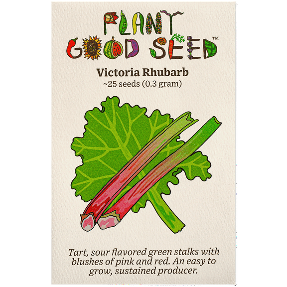 Plant Good Seed Victoria Rhubarb Seeds, Organic Perennial Plant Seeds, 25 Seeds Per Packet