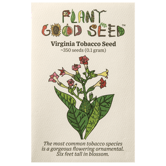Plant Good Seed Virginia Burley Tobacco Seeds Fast Growing, Tan Leaf for Home Curing, Pink Flowers