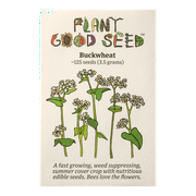 Plant Good Seed Organic Buckwheat Seeds for Planting 125 Count, Annual Full Sun Summer Cover Crop