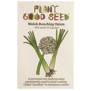 Plant Good Seed Welsh Bunching Onion Seeds for Planting, 100 Seeds