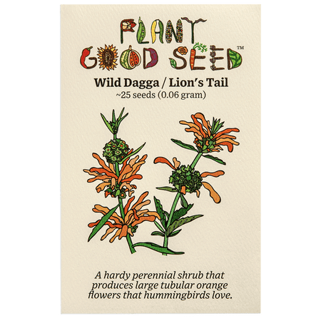 Plant Good Seed Organic Wild Dagga Lion's Tail Seeds for Planting: 25 Count, Perennial Shrub with Orange Flowers