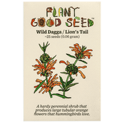 Plant Good Seed Organic Wild Dagga Lions Tail Seeds for Planting 25 Count, Perennial Shrub with Orange Flowers