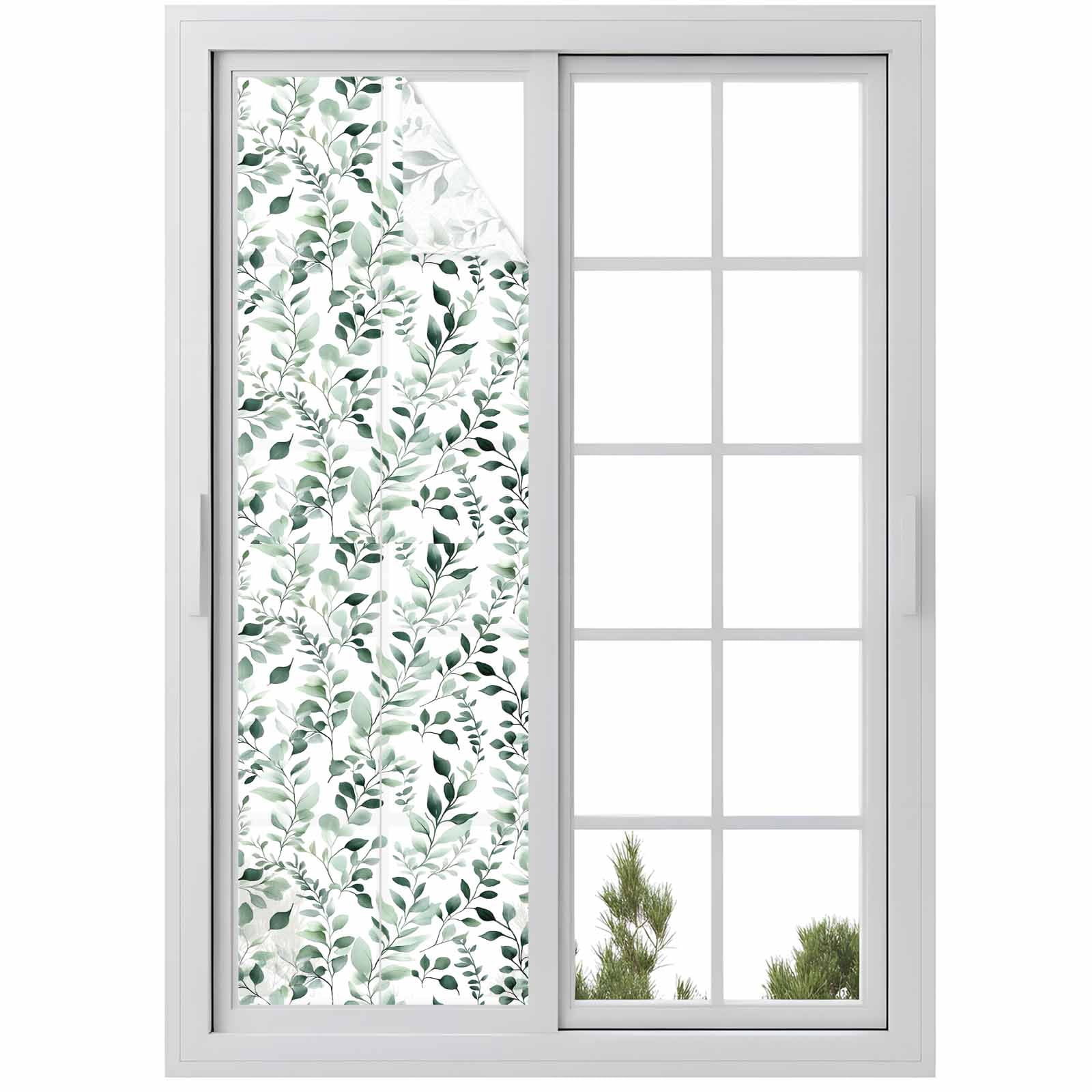 Plant Green Window Privacy Film Watercolor Eucalyptus Leaf Farm ...