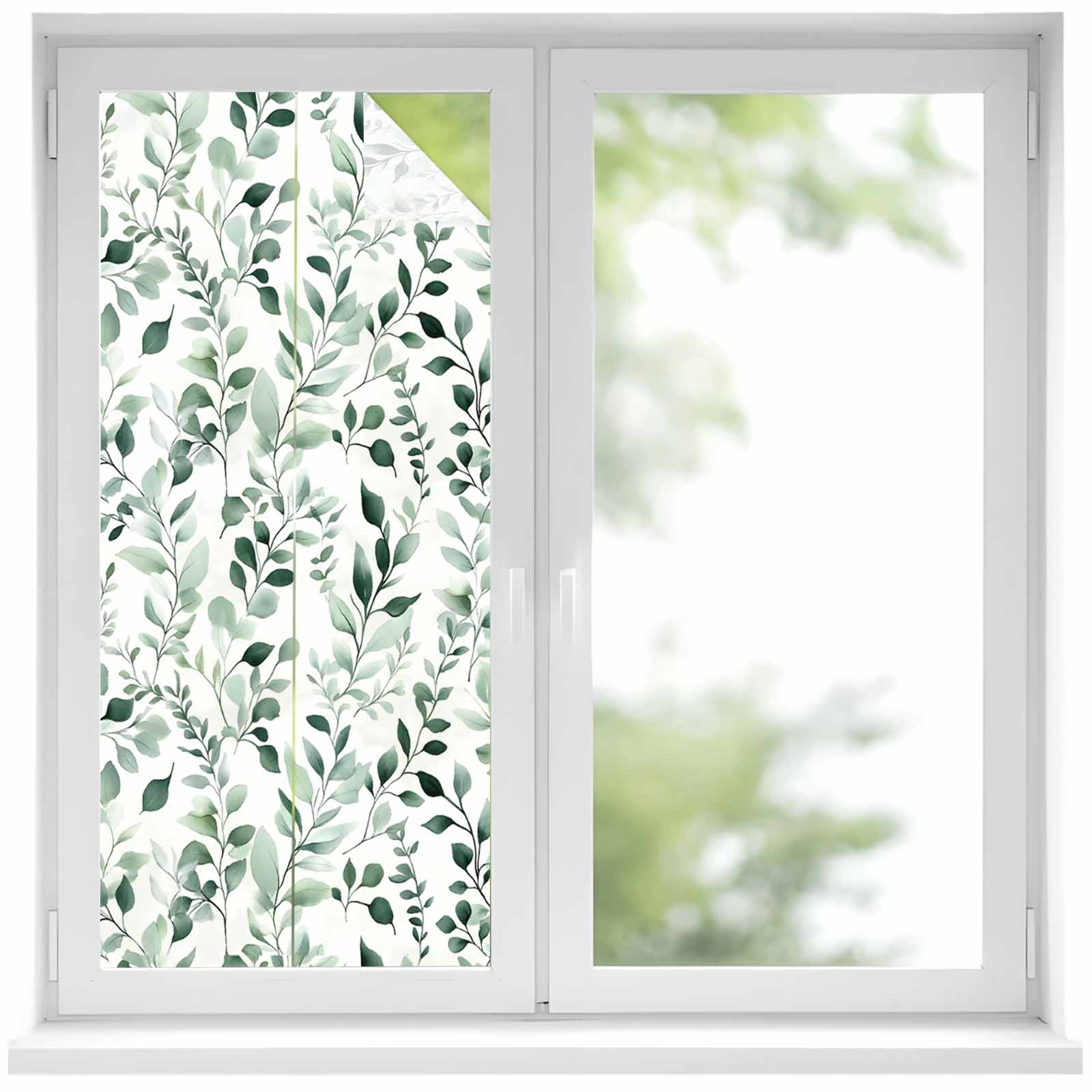 Plant Green Window Privacy Film Watercolor Eucalyptus Leaf Farm ...