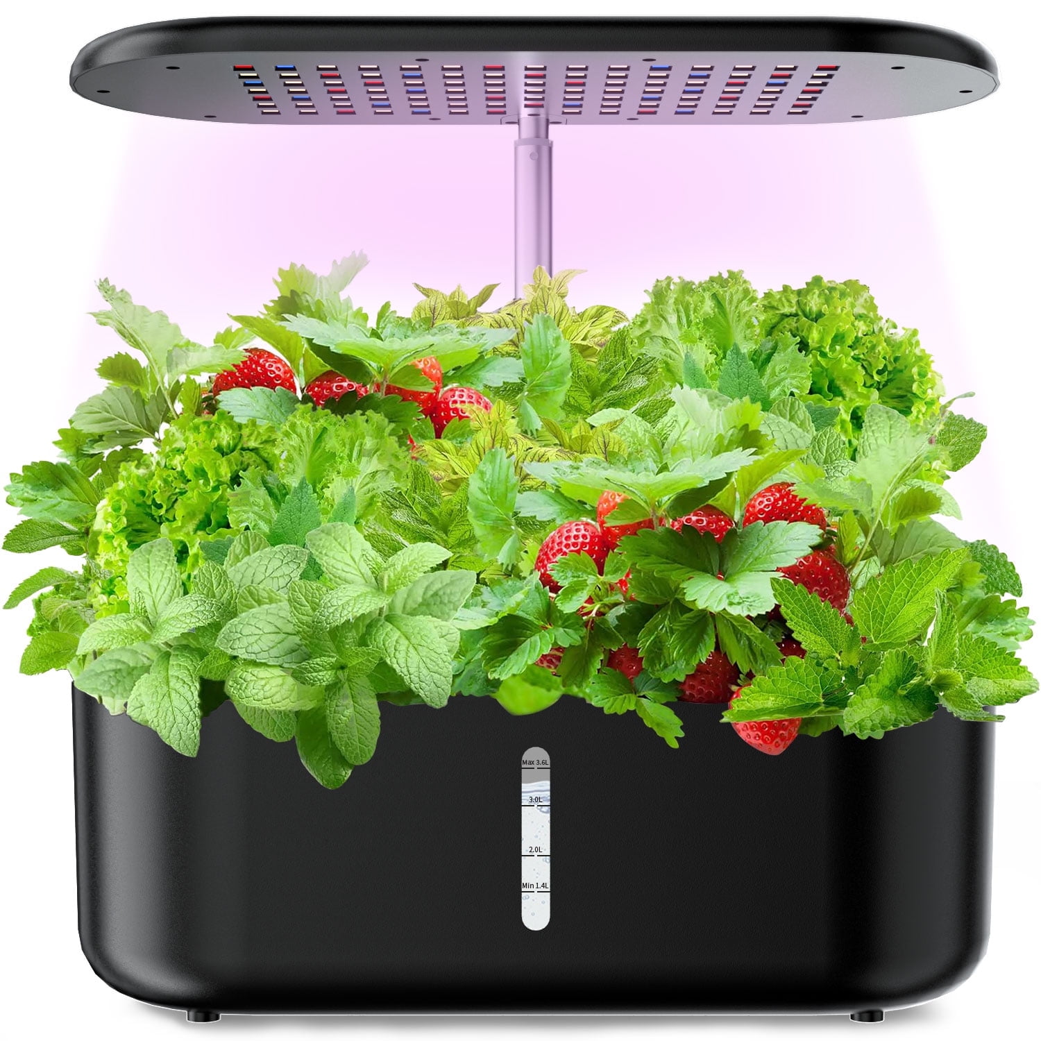 Walmart Saving of  FOUKUS Hydroponics Growing System Kit: 10 Pods Indoor Herb Garden with Auto On/Off Grow Light, Height-Adjustable Germination Kit for Basil, Tomatoes, Mint & Lettuce