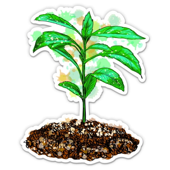 Plant Growing - 3" Vinyl Sticker - For Car Laptop Water Bottle Phone - Waterproof Decal