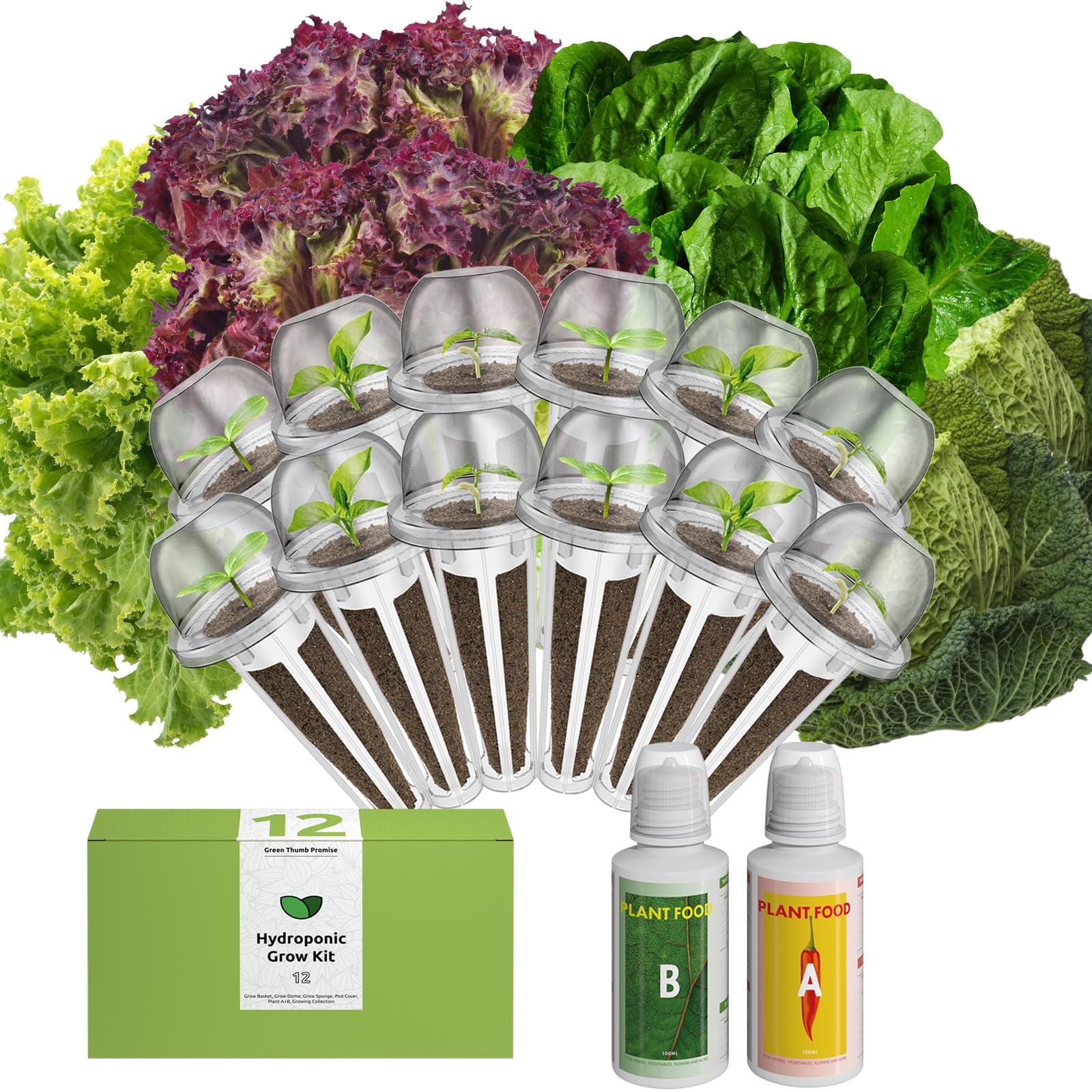 Plant Growing Kit Lettuce 12Pod for Hydroponic Systems