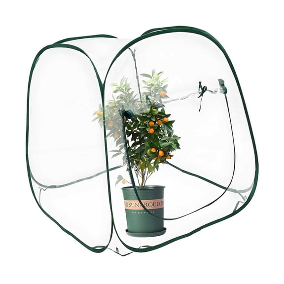 Plant Growing Shelter Tent for Winter Featuring Clear PVC Cover and Steel Frame Structure Garden Frosts Protective
