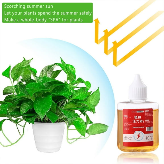 Plant Growth Enhancer 50ml 2pc, Rooting and Flowering Nutrient Solution, Plant Vitality Supplement for Indoor Potted Plants