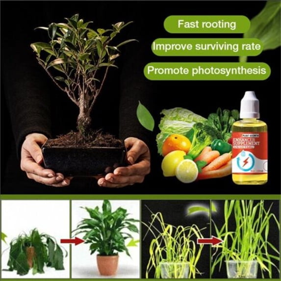 Plant Growth Enhancer Supplement - Promotes Colonization & Stress Relief, Liquid Fertilizer for Hydroponics, Indoor & Outdoor Plants (1X, 50ML)