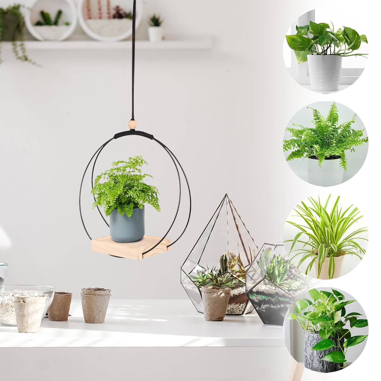 Plant Hanger with Wood Base, Hanging Plant Holder for Indoor Plants ...