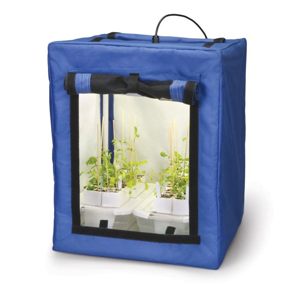 Plant Light House With Light Bulbs