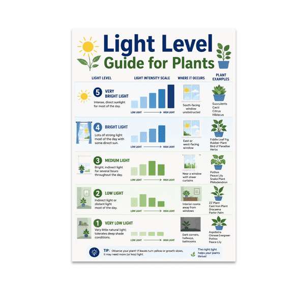 Plant Light Level Guide - Plant Enthusiast - 13x19 Poster Print