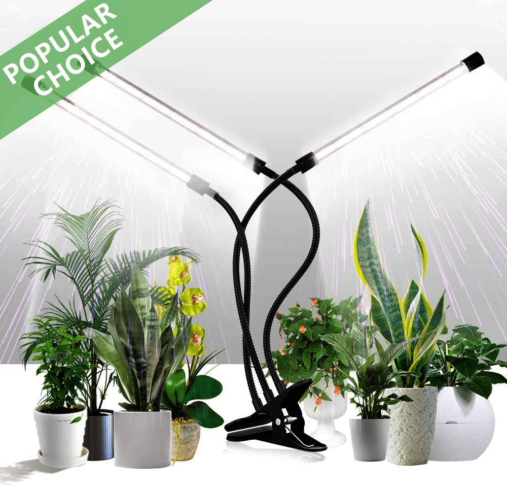 FRGROW Grow Lights for Indoor Plants Full Spectrum, Plant Lights for Indoor  Growing, 3000k/5000k/660nm Plant Grow Lamps, Clip on Plant Lamp with White