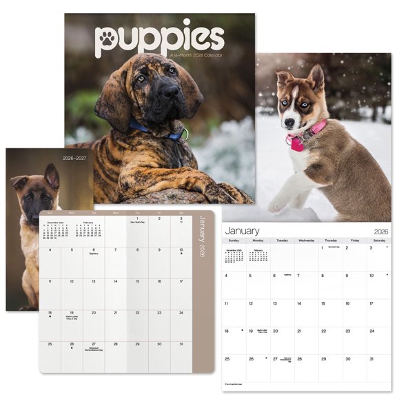Puppies 2026 Calendar and Pocket Planner