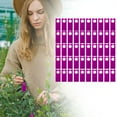 thumbnail image 1 of Plant Marker Card Purple,1 Pack Of 100 Marker Cards,100Pcs Gardening Plant Hanging Collar Tag Plant Tree Tags Plant Identification Board Nursery Garden Labels Gardening Tags, 1 of 9
