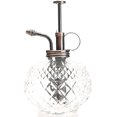 thumbnail image 1 of Plant Mister- Clear Color Glass Bottle & Brass Sprayer (Antique Copper), 1 of 19