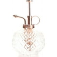 thumbnail image 1 of Plant Mister- Clear Color Glass Bottle & Brass Sprayer (Rose Gold), 1 of 19