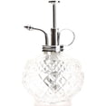 thumbnail image 1 of Plant Mister- Clear Glass Bottle & Brass Sprayer (Chrome), 1 of 18