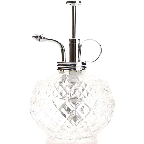 Plant Mister- Clear Glass Bottle & Brass Sprayer (Chrome)