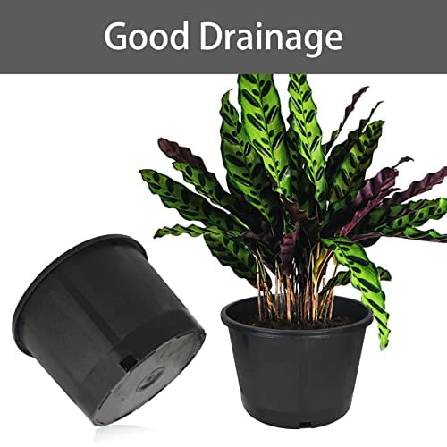 Plant Nursery Pot 10Pack 5 Gallon Short Plastic Garden Planter Pots