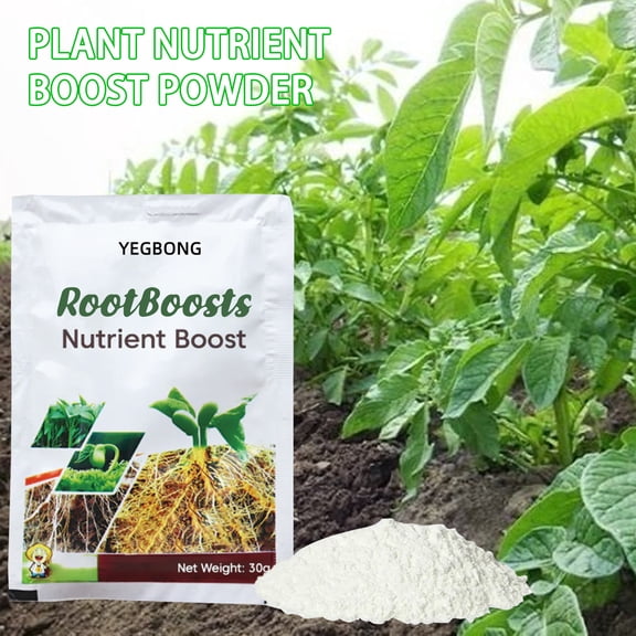 Plant Nutrition Powder, Succulent Green Flower Plant Pot Transplanting Root Growth Nutrition Powder