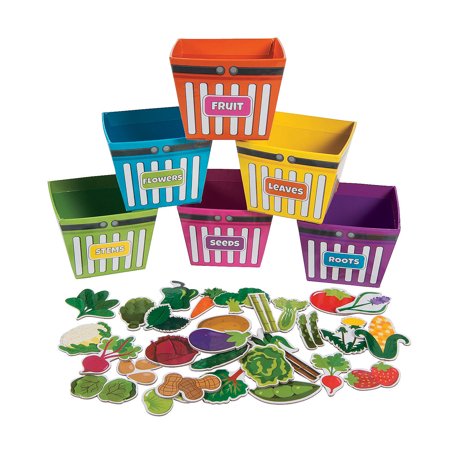 Plant Parts We Eat Sorting Boxes - 36 Pieces