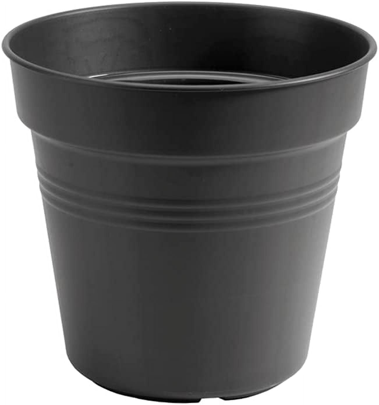 Plant Plastic With Dish Small Plastic Pots With Drain Holes, Plant