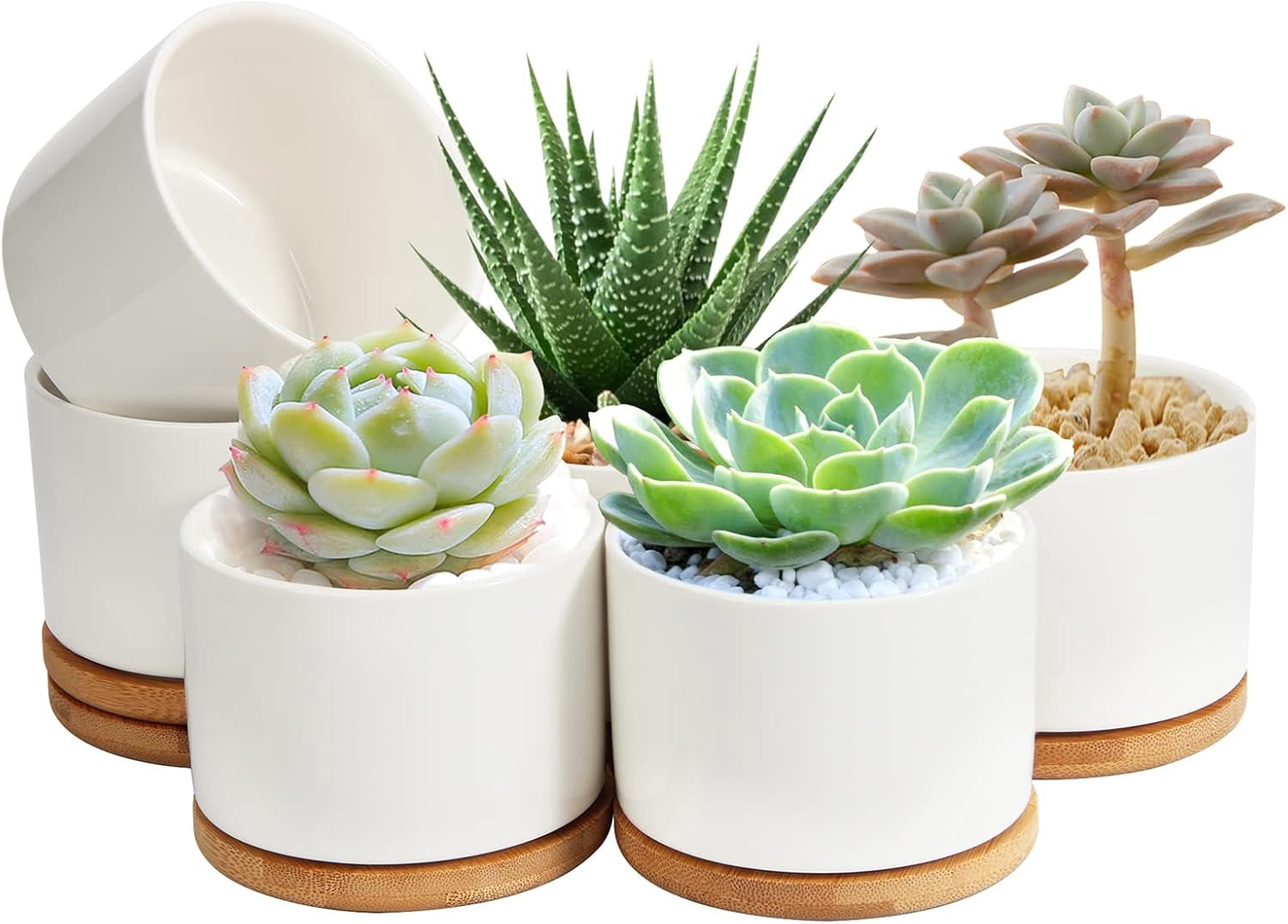Plant Pot 4 Inch Ceramic Succulent Pots With Drainage Hole Bamboo plant-pot-4-inch-ceramic-succulent-pots-with-drainage-hole-bamboo
