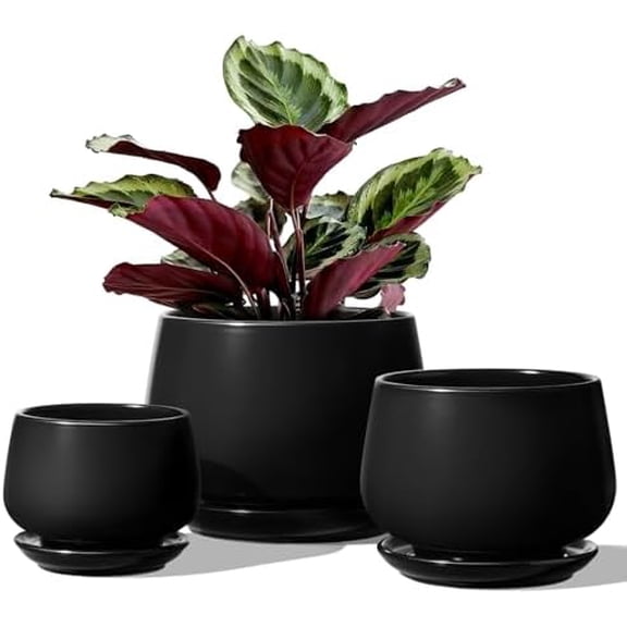 Plant Pots, 4.1+5.1+6.5 inch, Set of 3, Ceramic Planters with Drainage Hole and Saucer, Indoor Flower Pot with Hole Mesh Pad, Gifts for Mom, Black