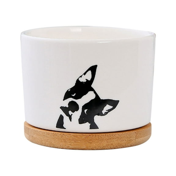 Plant Pots under $5! Yannianjz Ceramic Plants Plant Pots, Funny Unique Flowerpot with Tray for Indoor Desktop Bonsai, Hand-Painted Decorative Planter for Home and Office Decor