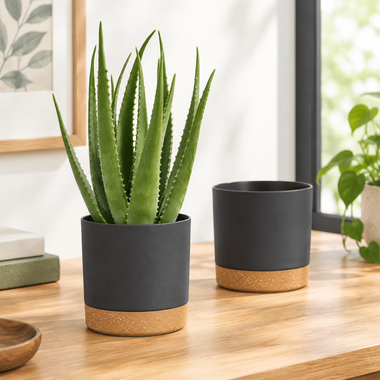 Plant Pots For Indoor 2 Pack 10 Inch Pot(10