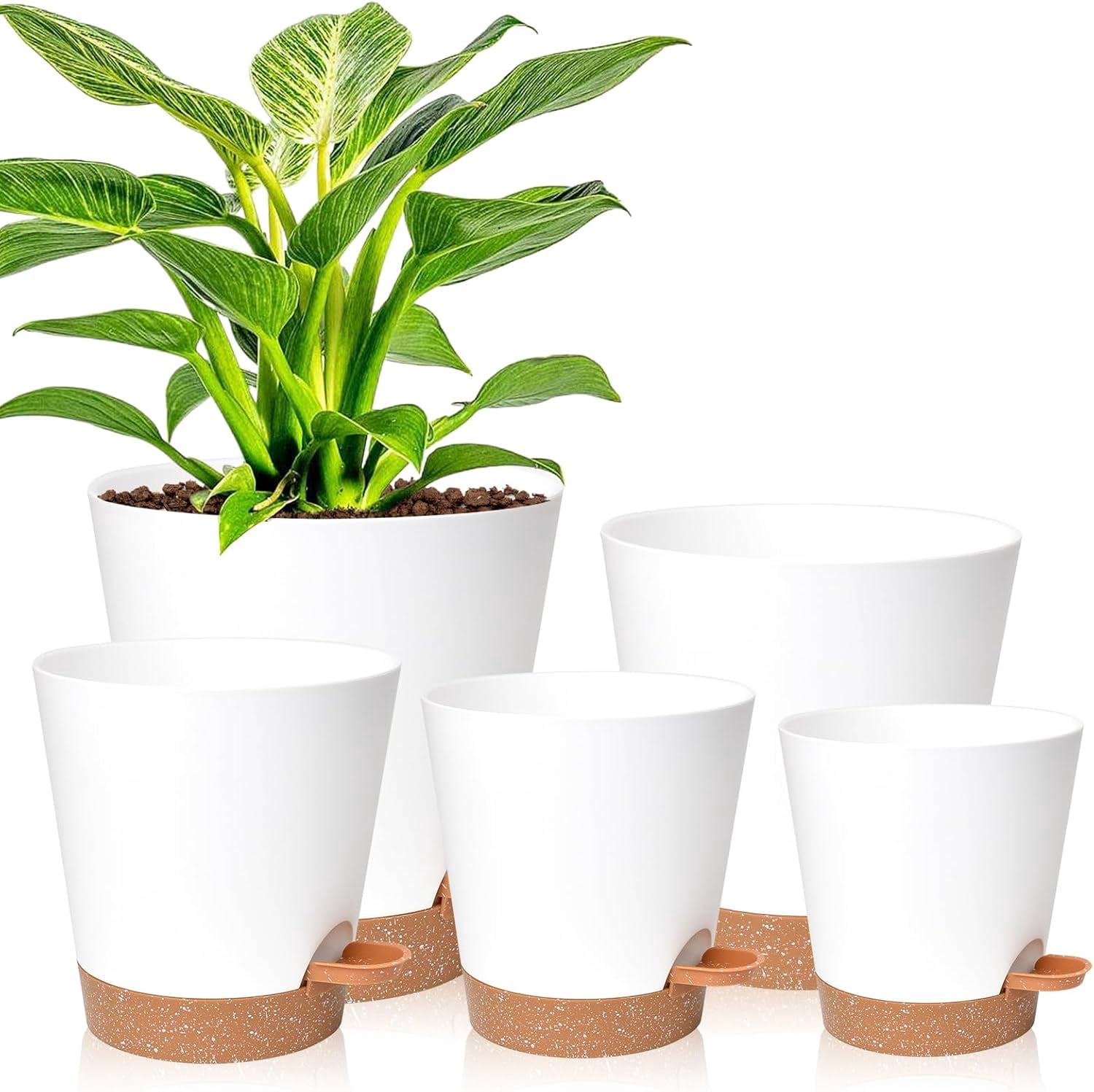 Self Watering Indoor Planters 6-Pack 5 Inch Self-Watering Planters With  Drainage & Reservoir Tray - Modern White Flower Pots For Indoor Outdoor  Plants