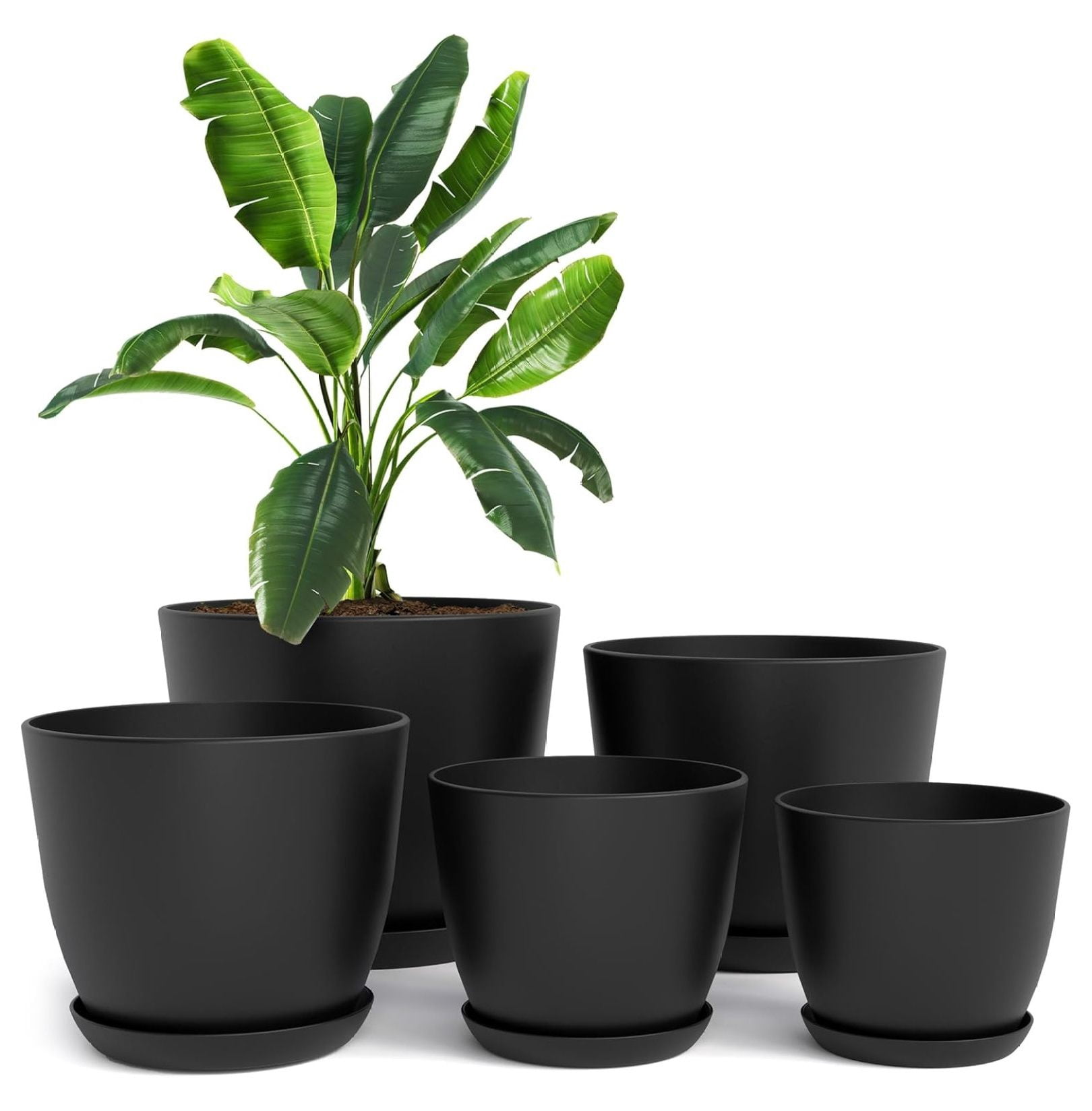 - Plant Pots Indoor with Drainage - 7/6.6/6/5.3/4.8 Inches Home Decor